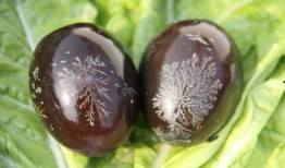 蛋仔皮蛋最新爆料,揭秘最新游戏动态与神秘内容